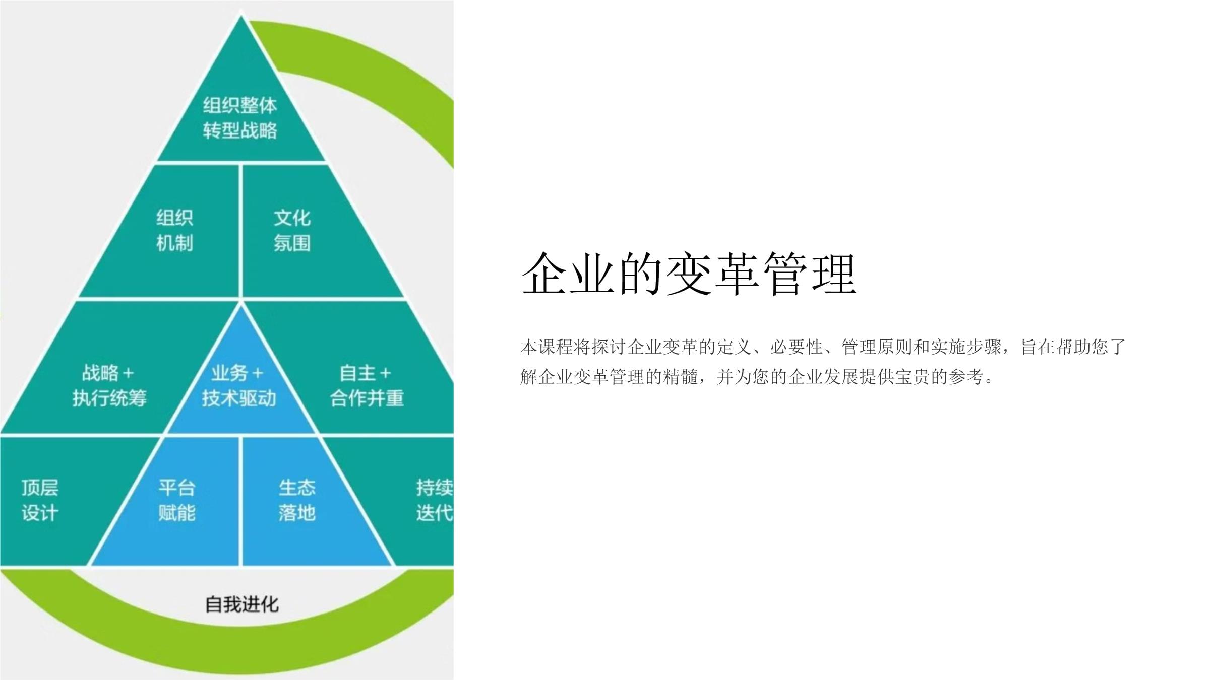 《企业的变革管理》课件